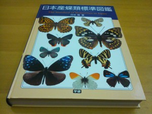 2011オリジナル・カレンダー　蝶類図鑑表紙