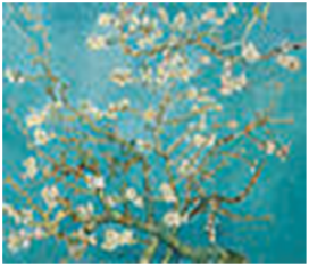 ゴッホ 「花咲くアーモンドの枝」